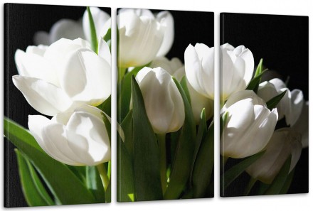 Характеристики
 
Категории
Цветы
Кол-во частей
3А
Краска
Пигментная, на водной о. . фото 2