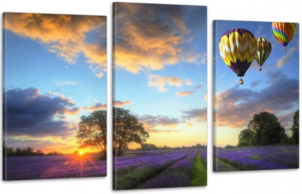 Модульна картина Природа Повітряна Куля Art-30_3. Ужгород. фото 1 Модульна картина Природа Повітряна Куля Art-30_3. Ужгород. фото 1