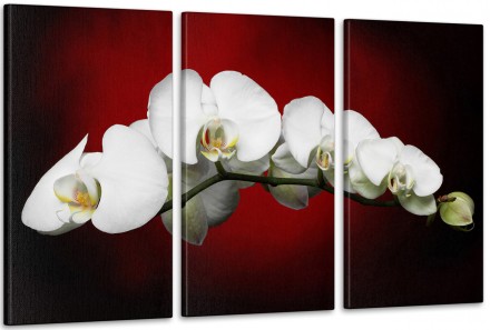 Характеристики
 
Категории
Цветы
Кол-во частей
3А
Краска
Пигментная, на водной о. . фото 2