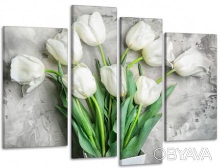 Характеристики
 
Категории
Цветы Тюльпаны Белые
Кол-во частей
4
Краска
Пигментна. . фото 1