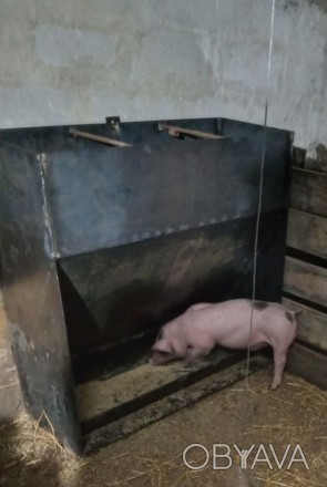 Кормушка бункер для свиней