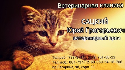 Эвтаназия, усыпление животных О9З ЧО8 О9 З6. Харьков. фото 1 Эвтаназия, усыпление животных О9З ЧО8 О9 З6. Харьков. фото 1