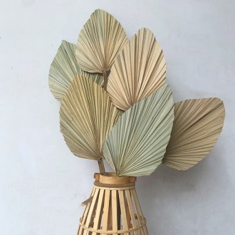 Декоративний Пальмовий Лист використовується для створення інтер'єрних композиці. . фото 4