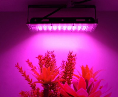 Модифицированная фитолампа,нового поколения для растений, рассады, светильник по. . фото 3