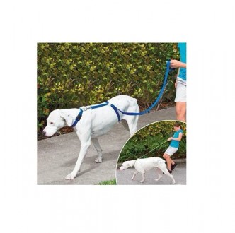 Ошейник для собак The Instant Trainer Leash изготовлен из прочного нейлонового в. . фото 4