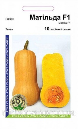 Тыква Матильда F1 - 10 семян А (Enza Zaden). Тернопіль. фото 1 Тыква Матильда F1 - 10 семян А (Enza Zaden). Тернопіль. фото 1