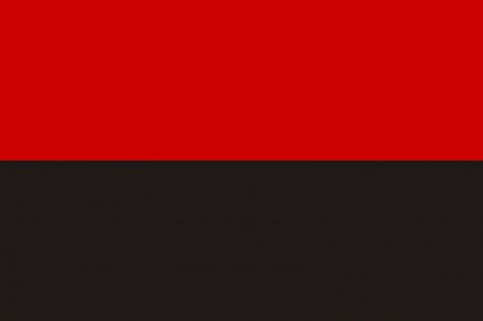 Маленький Прапорець УПА на паличці, розмір: 22х14 см, Прапор ОУН
від Інтернет-ма. . фото 4