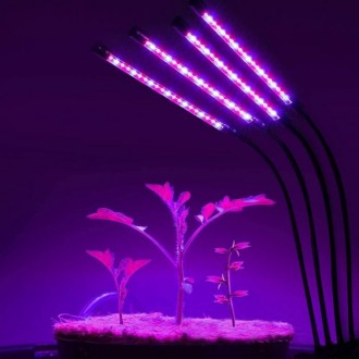 Лампа для растений Plant GrowLight светодиодная с таймером, черная
Фитолампа све. . фото 10