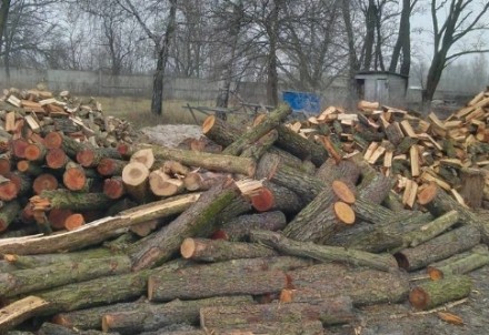 Дрова твердых пород колотые и чурками. Київ. фото 1 Дрова твердых пород колотые и чурками. Київ. фото 1