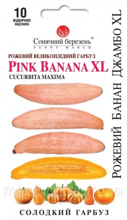 Гарбуз Рожевий Банан Джамбо XL 10шт Солнечный март. Лубни. фото 1 Гарбуз Рожевий Банан Джамбо XL 10шт Солнечный март. Лубни. фото 1