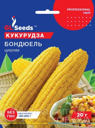 Высокоурожайный суперранний гибрид сахарной кукурузы высотой 150-170 см. Початок. . фото 1