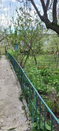 Продам садибу з надвірними будівлями, с. Глеваха, Васильківського р-ну, будинок . . фото 4
