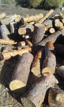 Доброго дня. Пропонуємо дрова твердих та м'яких порід:
- Дуб 1800 грн за с. . фото 4