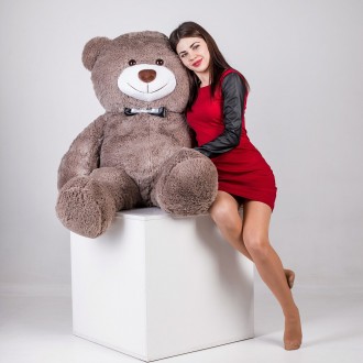 Плюшевий ведмедик - одна з найпопулярніших м'яких іграшок. Наші м'які красені вж. . фото 5