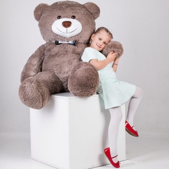 Плюшевий ведмедик - одна з найпопулярніших м'яких іграшок. Наші м'які красені вж. . фото 6