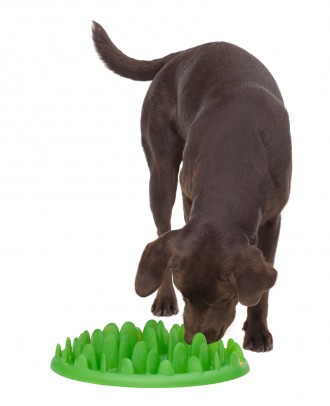 Миска в виде розочки-лабиринта для медленного кормления собак диаметром 20 см и . . фото 3