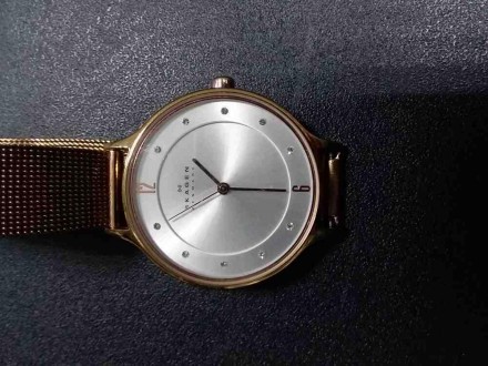 Наручний годинник Skagen SKW2151. Тип Жіночі. Механізм Кварцовий. Тип циферблата. . фото 4