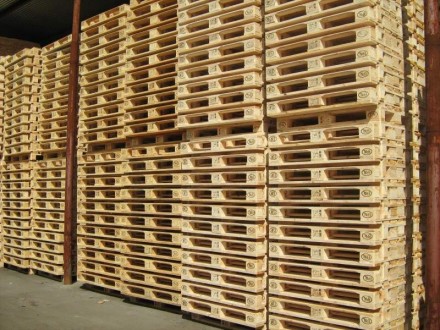 На постійній основі купляємо дерев'яні піддони розмірами 1200х800, 1200х100. . фото 2