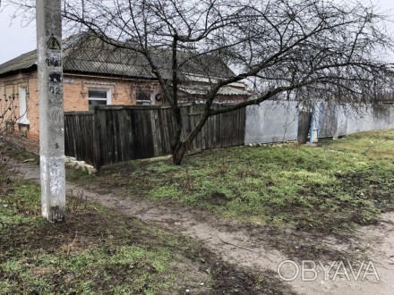 Пол Дома