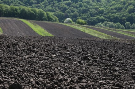 Продам землю 500 Га. Ровенская область. Рівне. фото 1 Продам землю 500 Га. Ровенская область. Рівне. фото 1