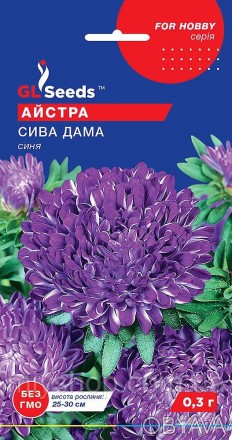 Оригинальный срезочный сорт. Куст колонновидный с крепкими цветоносами. Соцветия. . фото 1