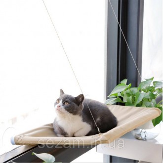 Оконный лежак для кошки Taotaopets - уютное место для отдыха вашего питомца
Хозя. . фото 2