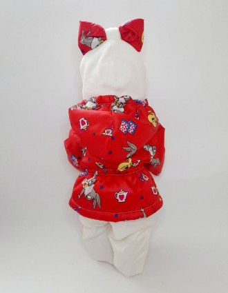 
Комплект одежды для куклы Беби Борн или похожего пупса ростом 40 - 43см.
В комп. . фото 4