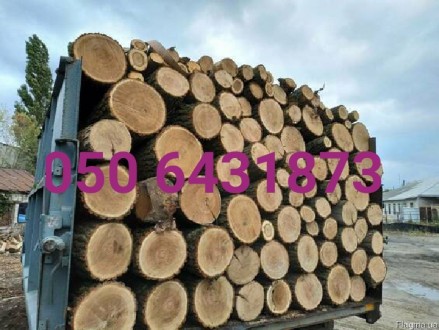 Продам дрова дубовые Харьков. Харків. фото 1 Продам дрова дубовые Харьков. Харків. фото 1