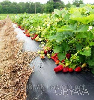 Пленка для мульчирования|30мкм|0.7м*500м|Черная
