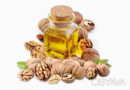 Полезные свойства масла грецкого ореха многие годы были недооценены обществом. Н. . фото 1