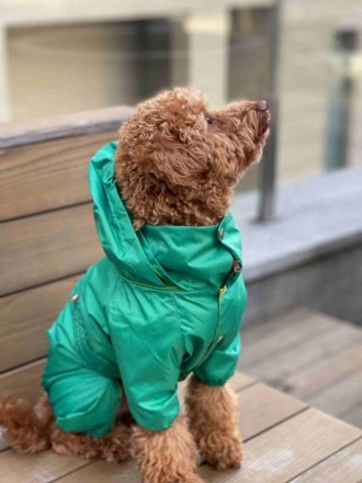 Водостойкая одежда для собак плащ дождевик со скрытым капюшоном на подкладке с в. . фото 6