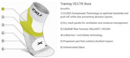 
Носки короткие 2XU® Training VECTR
	
	
	
	
 
 Носки Training VECTR Sock 2XU - и. . фото 10