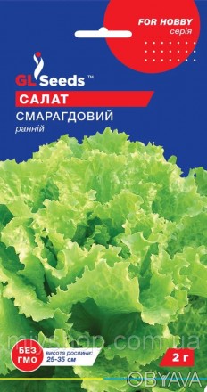 Раннеспелый (45-50 дней), урожайный сорт для открытого грунта и плёночных теплиц. . фото 1