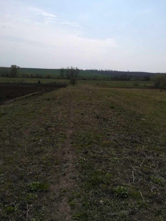 Продаж будинку і земельної ділянки
в селі Могиляни - 19км до Львова

    добр. . фото 6