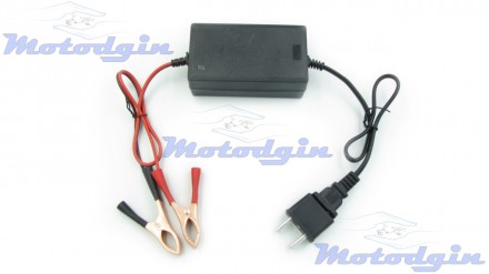 Зарядное устройство с светодиодным индикатором заряда 12В Zhi Neng специально ра. . фото 2
