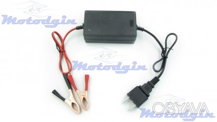 Зарядное устройство с светодиодным индикатором заряда 12В Zhi Neng специально ра. . фото 1