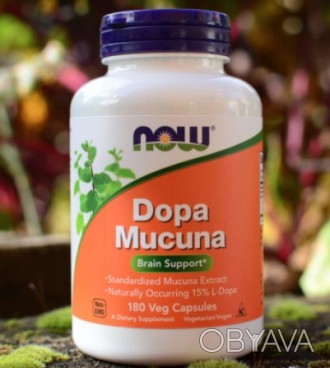 
DOPA Mucuna 180 veg caps
✅Только оригинальная продукция, отправка в день заказа. . фото 1