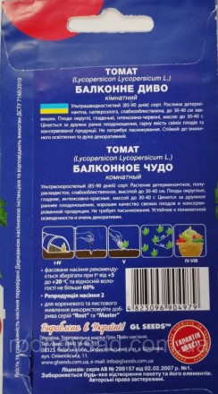 Ультра быстроспелый (85-90 дней) сорт. Растение детерминант, полураскидистое, сл. . фото 3