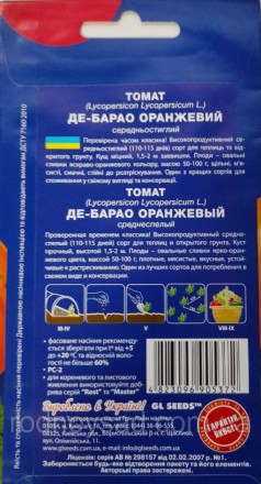 Высокопродуктивный среднеспелый 110-115 дней сорт для теплиц и открытого грунта.. . фото 3