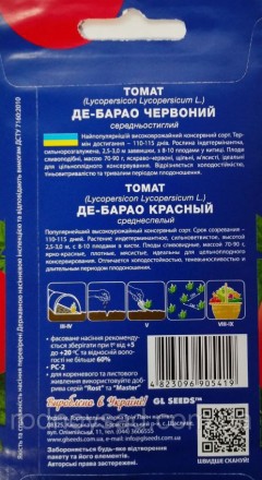 Великолепный среднепоздний (115-120 дней) высокопродуктивный засолочный сорт. Ку. . фото 3