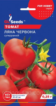 Ультраскороспелый (85-90 дней) сорт для открытого грунта. Растение компактное, в. . фото 2