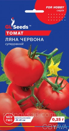 Ультраскороспелый (85-90 дней) сорт для открытого грунта. Растение компактное, в. . фото 1