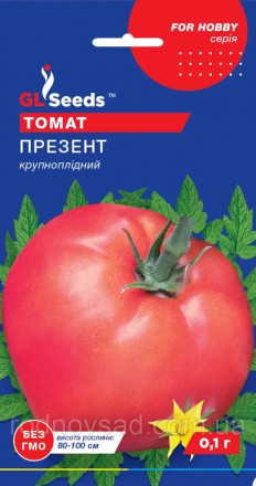 Вишуканий середньоранній (100-115 днів) десертний любительський сорт. Висота рос. . фото 2