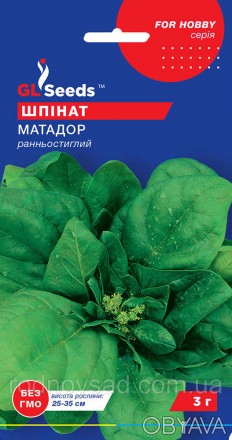 Шпинат Матадор семена 3 г (прибл 180 шт) ранний (Spinacia oleracea)