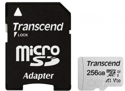 Transcend MicroSDHC 300S соответствуют требованиям самого последнего класса скор. . фото 1