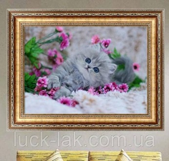 Алмазная вышивка, котик в цветах, размер холста: 40х30 см, размер рисунка: 35х25. . фото 5