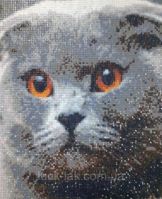 Алмазна вишивка шотландський вишаровий котик
Повна викладка, круглі стрази.
Розм. . фото 4