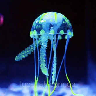 
Медуза, декор для акваріума
Діаметр: 5 см
Довжина: 15 см
Така оригінальна прикр. . фото 4