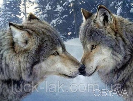 Алмазна вишивка, розмір полотна 40х50 см, закохані вовки
Повна викладка, стрази . . фото 1