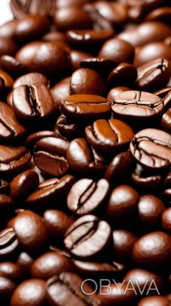 Кофе Lavazza Expert Gusto Forte известен своим насыщенным ароматом и сладковатым. . фото 1